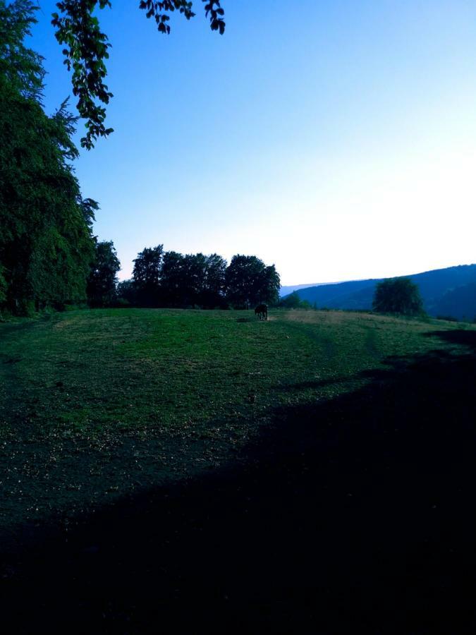 Au Havre Du Circuit Villa Malmedy Esterno foto